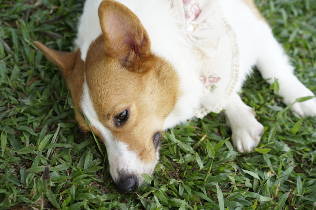 PTI八月团建-热浪来袭(images 5)